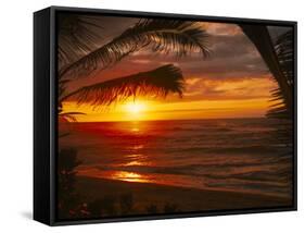 Sunset on the Ocean with Palm Trees, Oahu, HI-Bill Romerhaus-Framed Stretched Canvas