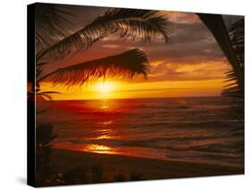 Sunset on the Ocean with Palm Trees, Oahu, HI-Bill Romerhaus-Stretched Canvas