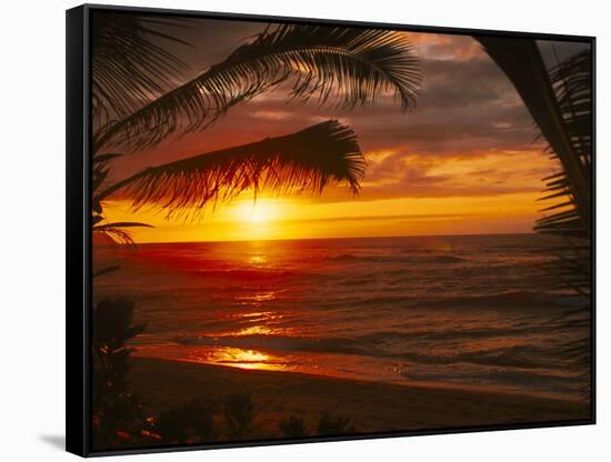 Sunset on the Ocean with Palm Trees, Oahu, HI-Bill Romerhaus-Framed Stretched Canvas