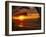 Sunset on the Ocean with Palm Trees, Oahu, HI-Bill Romerhaus-Framed Photographic Print