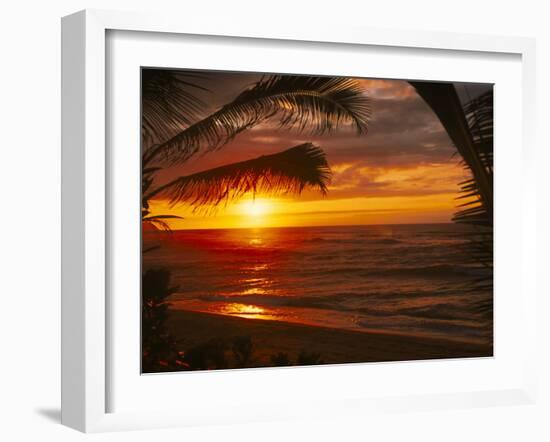 Sunset on the Ocean with Palm Trees, Oahu, HI-Bill Romerhaus-Framed Photographic Print