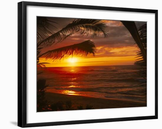 Sunset on the Ocean with Palm Trees, Oahu, HI-Bill Romerhaus-Framed Photographic Print