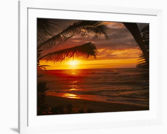 Sunset on the Ocean with Palm Trees, Oahu, HI-Bill Romerhaus-Framed Photographic Print