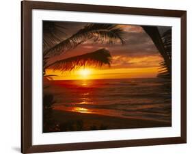 Sunset on the Ocean with Palm Trees, Oahu, HI-Bill Romerhaus-Framed Photographic Print