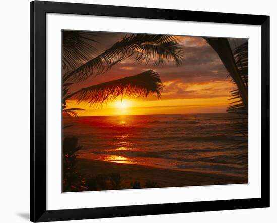 Sunset on the Ocean with Palm Trees, Oahu, HI-Bill Romerhaus-Framed Photographic Print