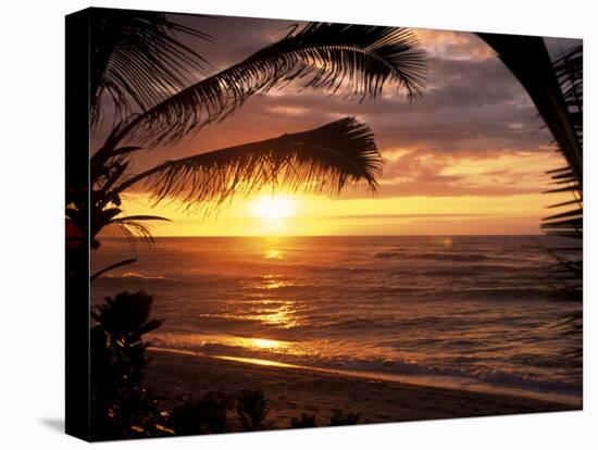 Sunset on the Ocean with Palm Trees, Oahu, HI-Bill Romerhaus-Stretched Canvas