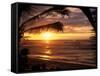 Sunset on the Ocean with Palm Trees, Oahu, HI-Bill Romerhaus-Framed Stretched Canvas