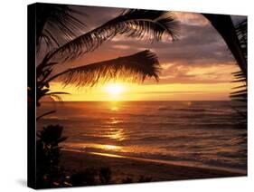 Sunset on the Ocean with Palm Trees, Oahu, HI-Bill Romerhaus-Stretched Canvas