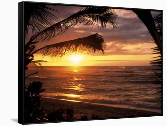 Sunset on the Ocean with Palm Trees, Oahu, HI-Bill Romerhaus-Framed Stretched Canvas