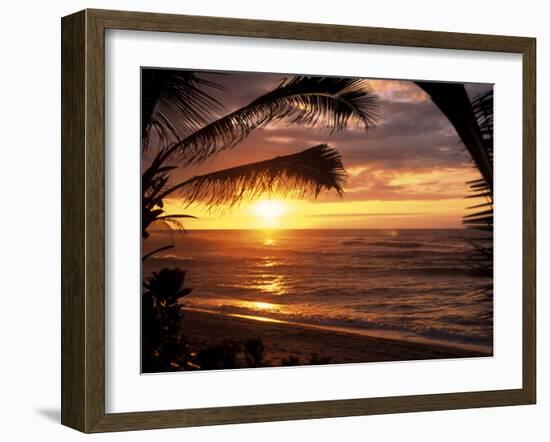 Sunset on the Ocean with Palm Trees, Oahu, HI-Bill Romerhaus-Framed Premium Photographic Print