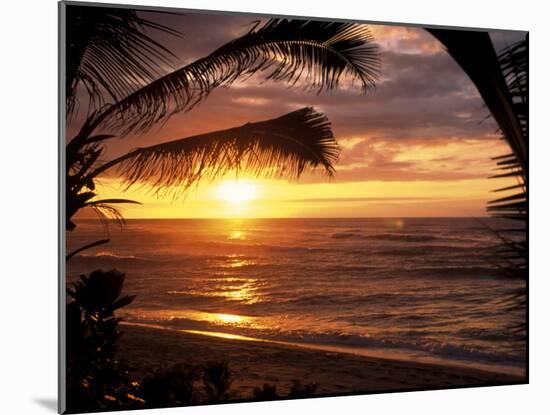 Sunset on the Ocean with Palm Trees, Oahu, HI-Bill Romerhaus-Mounted Premium Photographic Print