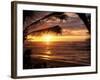 Sunset on the Ocean with Palm Trees, Oahu, HI-Bill Romerhaus-Framed Photographic Print