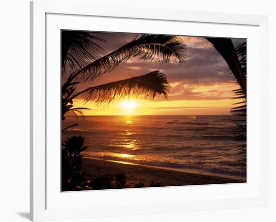 Sunset on the Ocean with Palm Trees, Oahu, HI-Bill Romerhaus-Framed Photographic Print