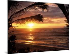 Sunset on the Ocean with Palm Trees, Oahu, HI-Bill Romerhaus-Mounted Photographic Print