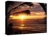 Sunset on the Ocean with Palm Trees, Oahu, HI-Bill Romerhaus-Stretched Canvas