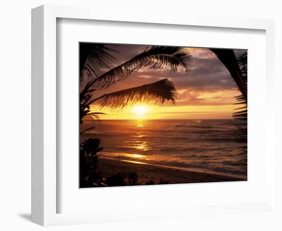 Sunset on the Ocean with Palm Trees, Oahu, HI-Bill Romerhaus-Framed Photographic Print