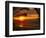 Sunset on the Ocean with Palm Trees, Oahu, HI-Bill Romerhaus-Framed Photographic Print