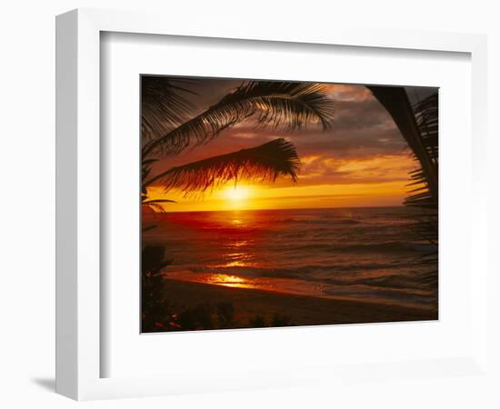 Sunset on the Ocean with Palm Trees, Oahu, HI-Bill Romerhaus-Framed Photographic Print