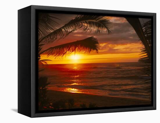 Sunset on the Ocean with Palm Trees, Oahu, HI-Bill Romerhaus-Framed Stretched Canvas