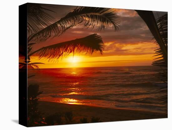 Sunset on the Ocean with Palm Trees, Oahu, HI-Bill Romerhaus-Stretched Canvas