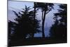 Sunset on the Pacific Coast, San Francisco, California-Anna Miller-Mounted Photographic Print