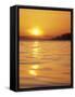 Sunset on the Puget Sound, Washington, USA-null-Framed Stretched Canvas