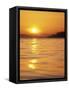 Sunset on the Puget Sound, Washington, USA-null-Framed Stretched Canvas