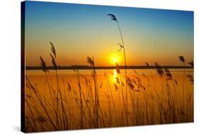 Sunset on the River-nadiya_sergey-Stretched Canvas