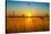 Sunset on the River-nadiya_sergey-Stretched Canvas