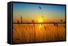 Sunset on the River-nadiya_sergey-Framed Stretched Canvas