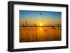 Sunset on the River-nadiya_sergey-Framed Photographic Print