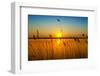 Sunset on the River-nadiya_sergey-Framed Photographic Print