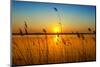 Sunset on the River-nadiya_sergey-Mounted Photographic Print