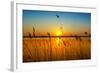 Sunset on the River-nadiya_sergey-Framed Photographic Print