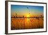 Sunset on the River-nadiya_sergey-Framed Photographic Print