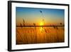 Sunset on the River-nadiya_sergey-Framed Photographic Print