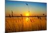 Sunset on the River-nadiya_sergey-Mounted Photographic Print