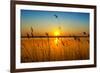 Sunset on the River-nadiya_sergey-Framed Photographic Print