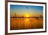 Sunset on the River-nadiya_sergey-Framed Photographic Print