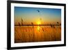 Sunset on the River-nadiya_sergey-Framed Photographic Print