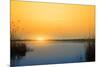 Sunset on the River-nadiya_sergey-Mounted Photographic Print