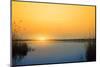 Sunset on the River-nadiya_sergey-Mounted Photographic Print