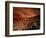 Sunset on the Ruins of the Coliseum, Rome, Italy-Bill Bachmann-Framed Photographic Print