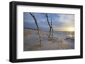 Sunset on the Western Beach of Darss Peninsula-Uwe Steffens-Framed Photographic Print