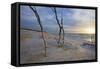 Sunset on the Western Beach of Darss Peninsula-Uwe Steffens-Framed Stretched Canvas