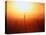 Sunset on Waitemata Harbour, Auckland, New Zealand-David Wall-Stretched Canvas