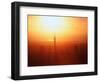 Sunset on Waitemata Harbour, Auckland, New Zealand-David Wall-Framed Photographic Print