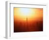 Sunset on Waitemata Harbour, Auckland, New Zealand-David Wall-Framed Photographic Print