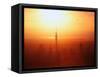 Sunset on Waitemata Harbour, Auckland, New Zealand-David Wall-Framed Stretched Canvas