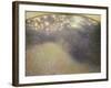 Sunset or Bramble Bush-Giuseppe Pellizza da Volpedo-Framed Giclee Print